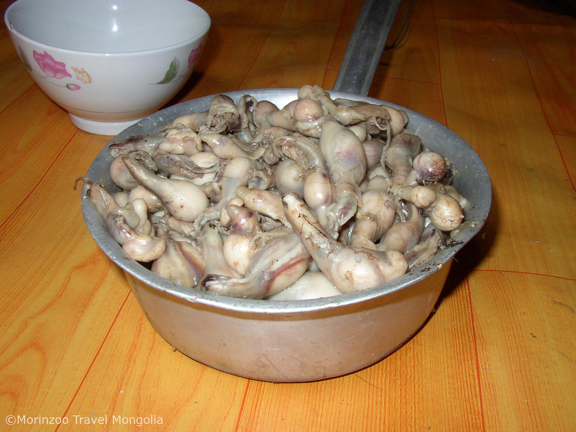 64572885_608077063015794_6716483734524133376_n