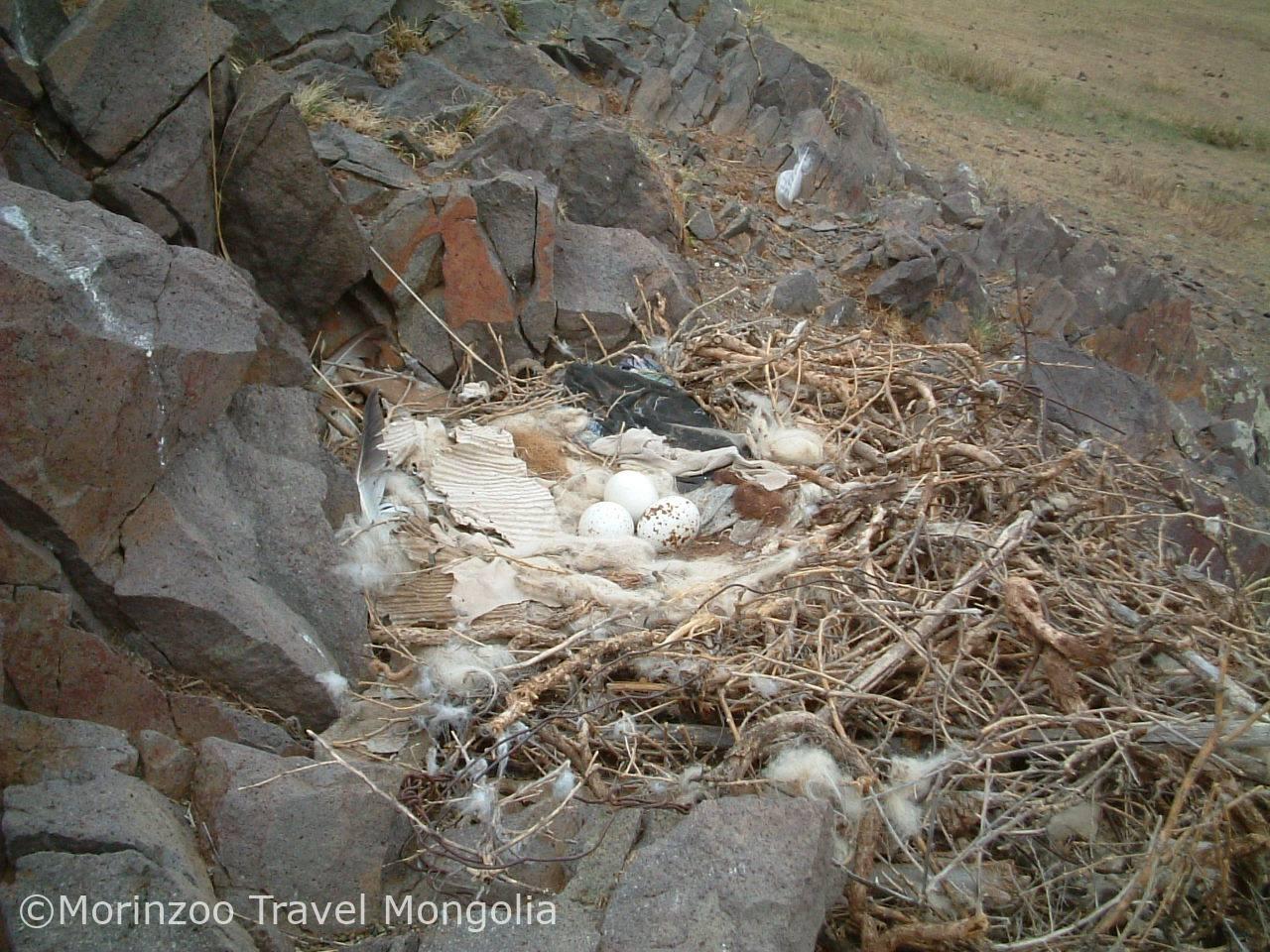 64898951_1043166082560489_7803120265822470144_n