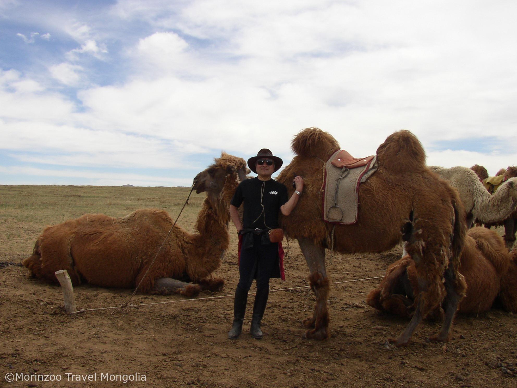 65089037_459664688145612_8921379881112043520_n