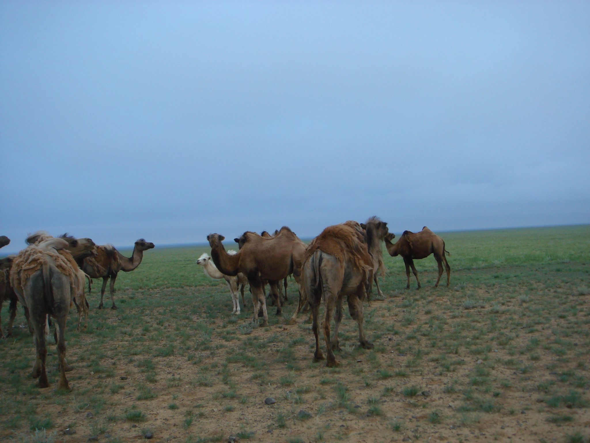 66393608_2288334667940188_5905682015998443520_n