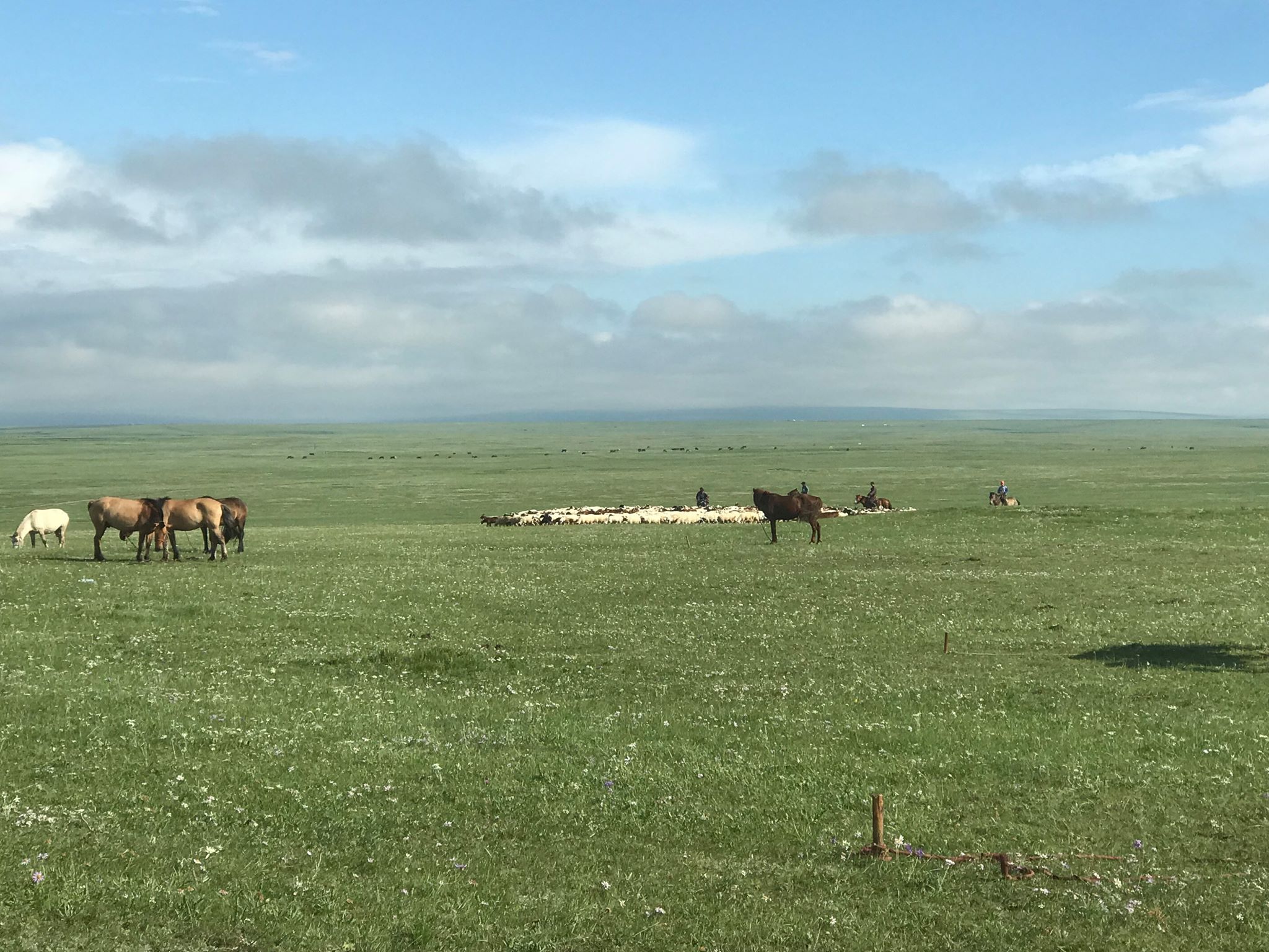 66480200_491806324916479_4949527733613887488_n