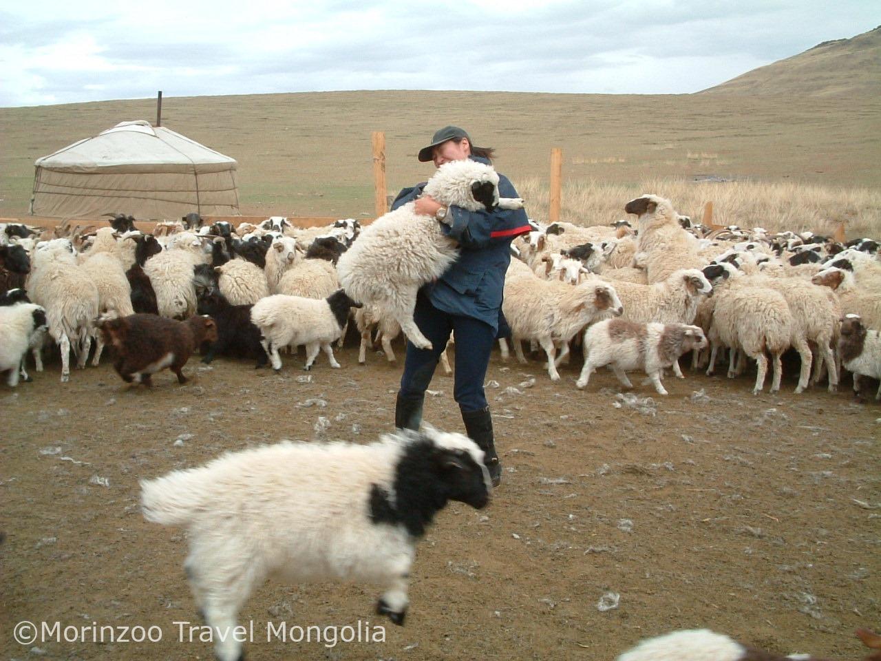 65021085_387298955226427_4431455807569133568_n