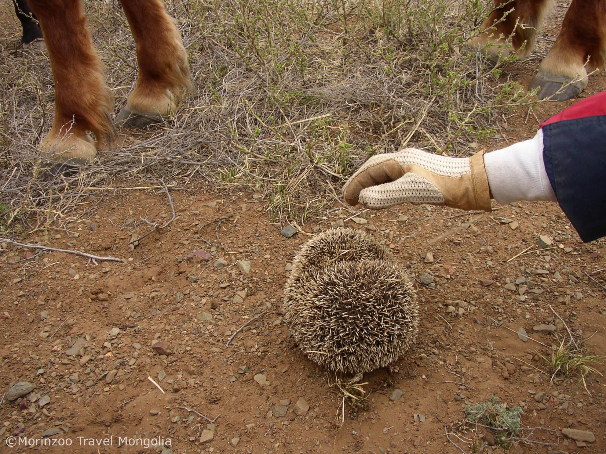 65081303_403091053639090_2380845116865642496_n