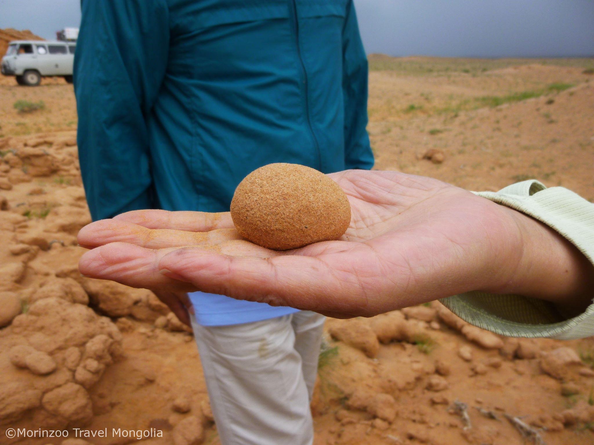 65138722_380429362678788_1180627917726547968_n