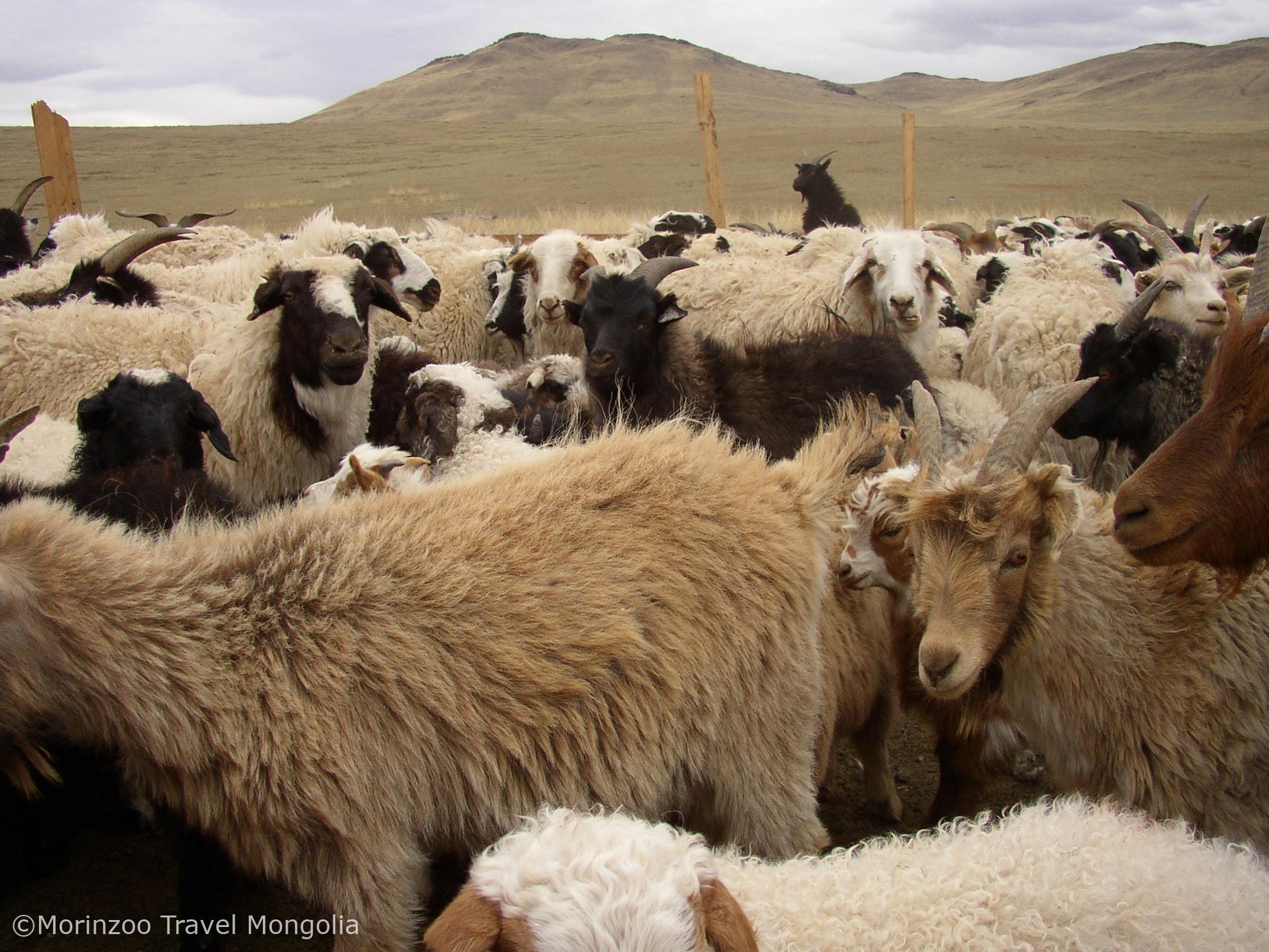 65165663_400803833896999_3419192416027017216_n