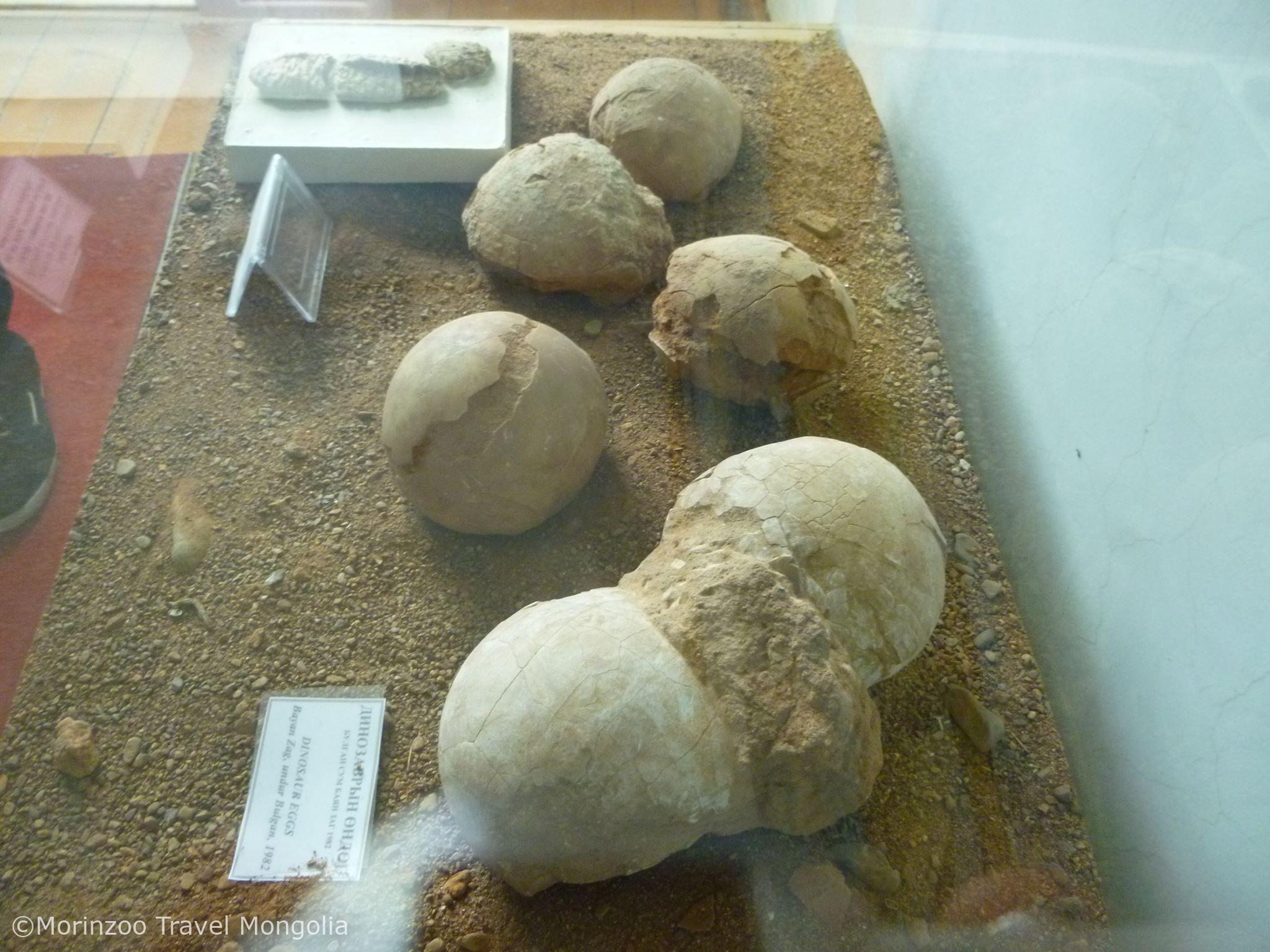 65418016_1091289814402123_5363785386671734784_n