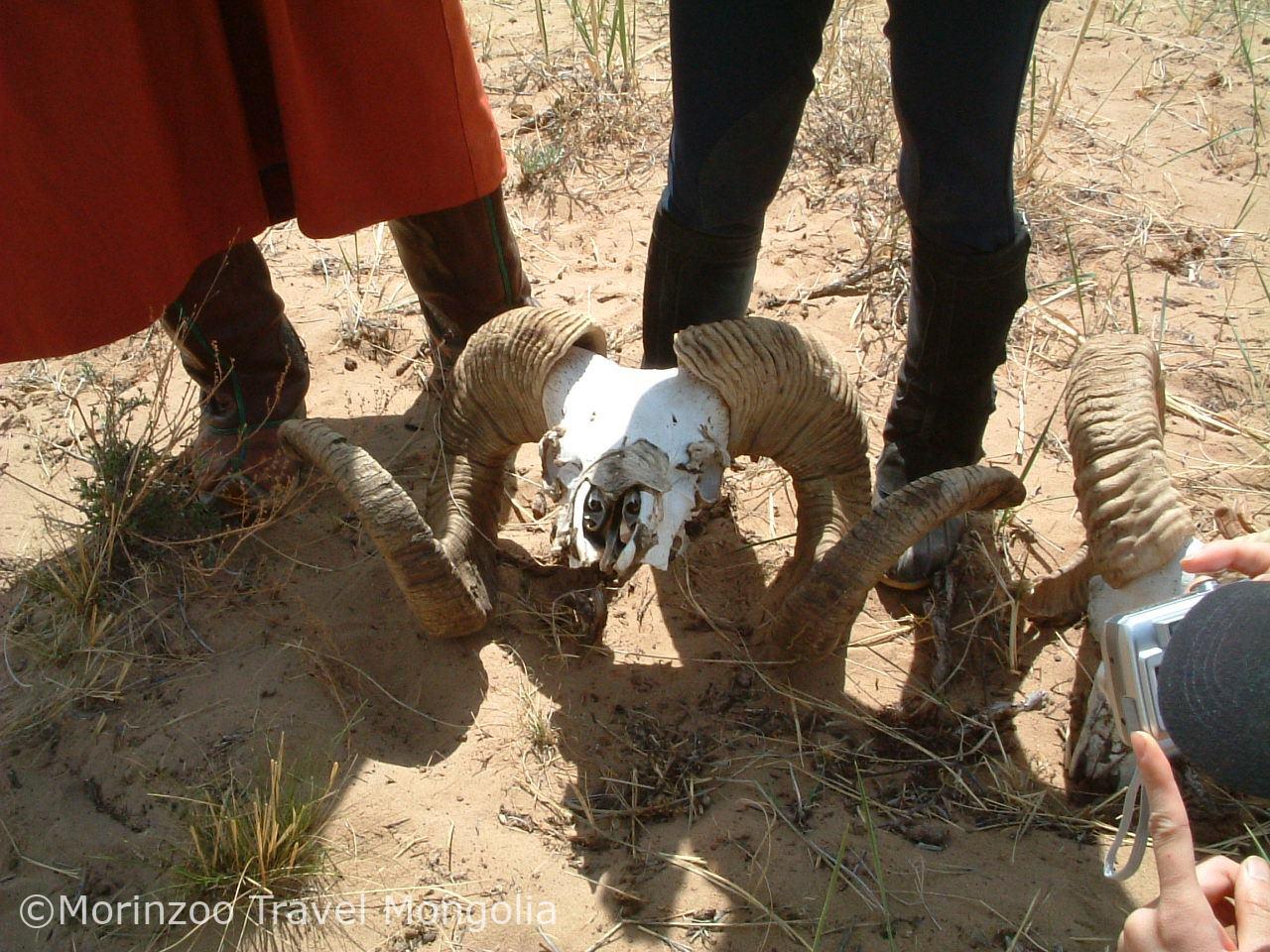 65424718_2380147495376518_8132579712380698624_n