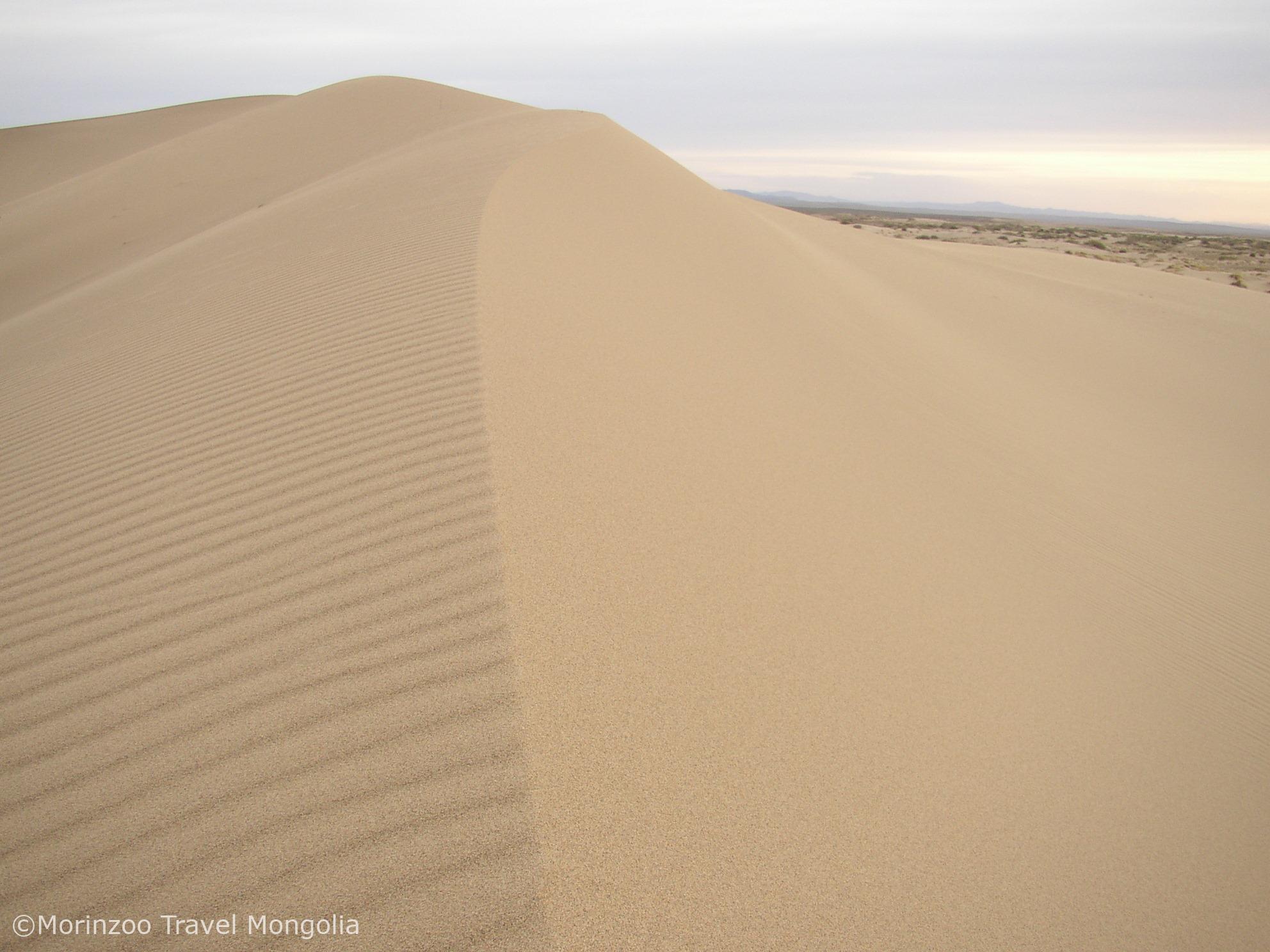 65536145_434499940467298_9155416334153023488_n