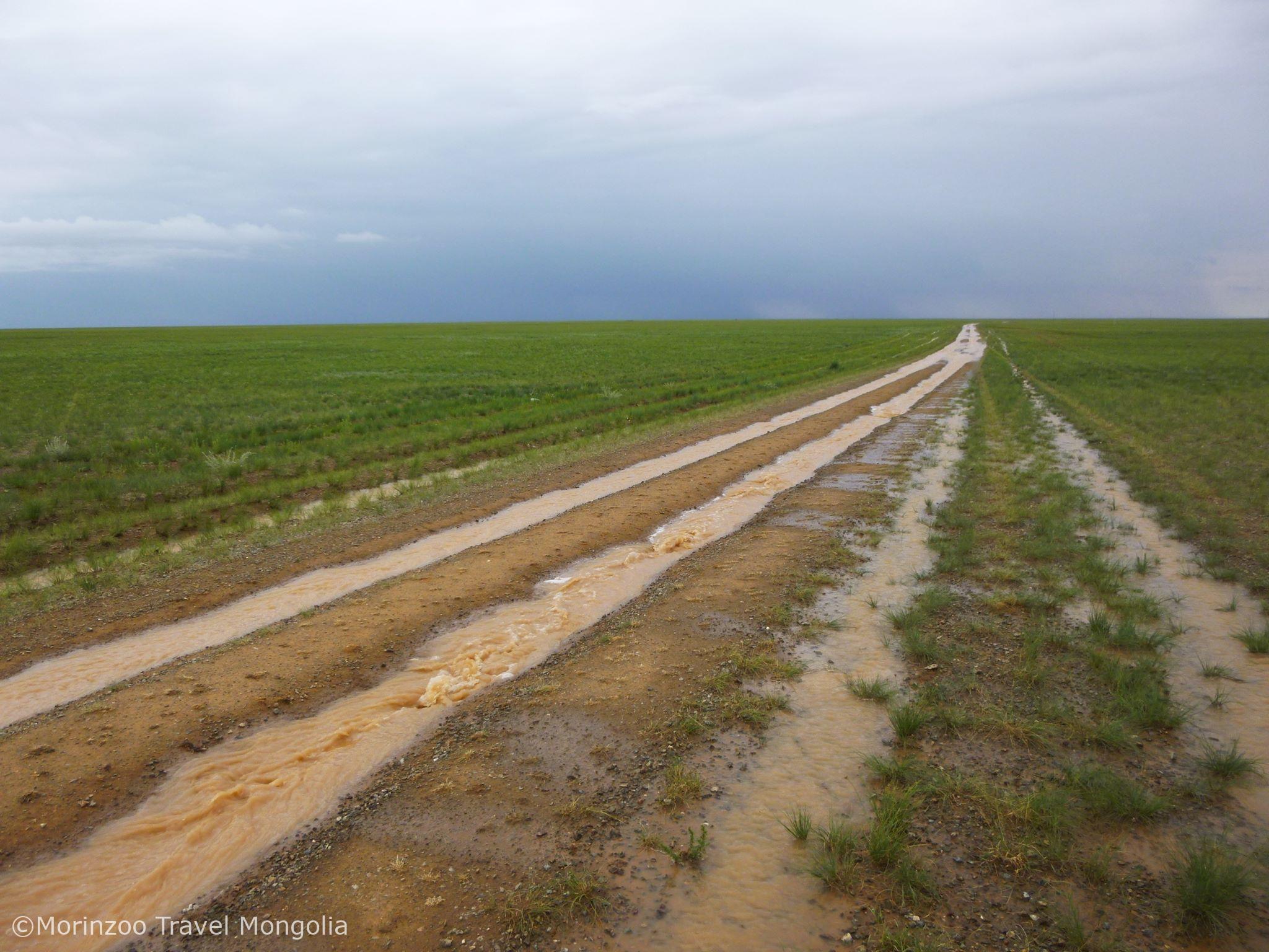 65569503_709600049461841_7283984012522029056_n