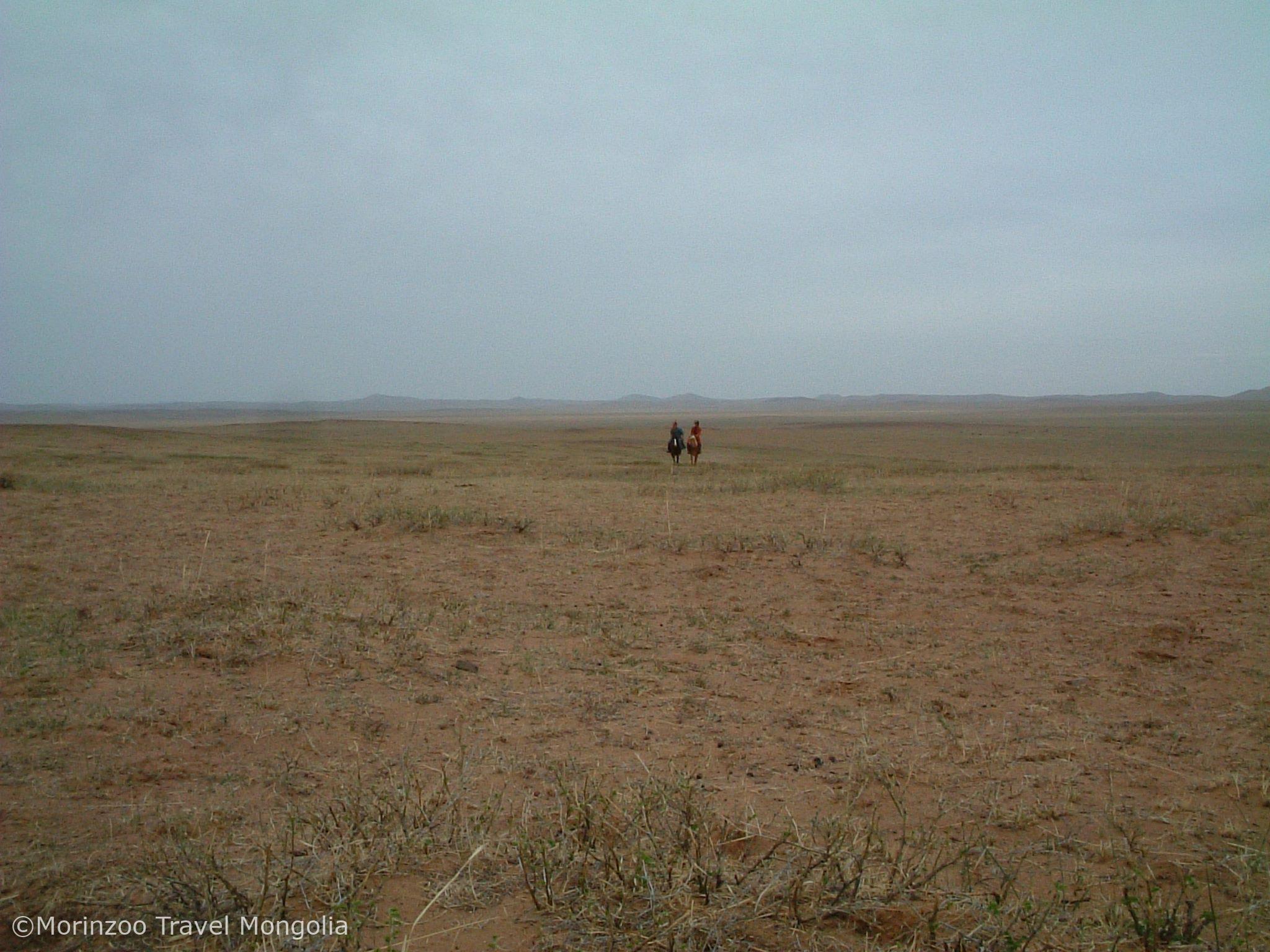 65656858_363762267616503_8580428884481146880_n