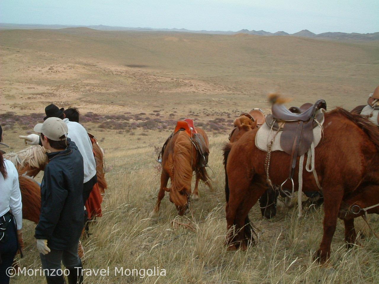 65729447_443894326195089_2317266020198252544_n