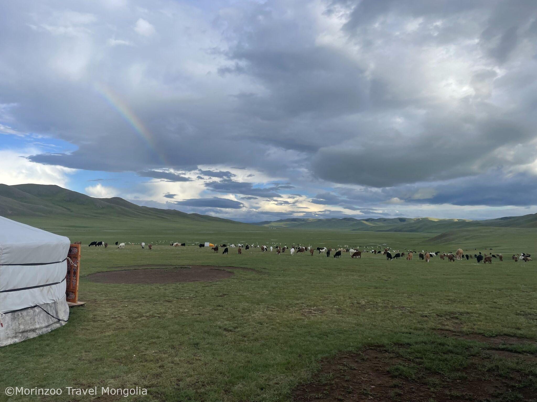 2024_07_25_18_52_IMG_6982