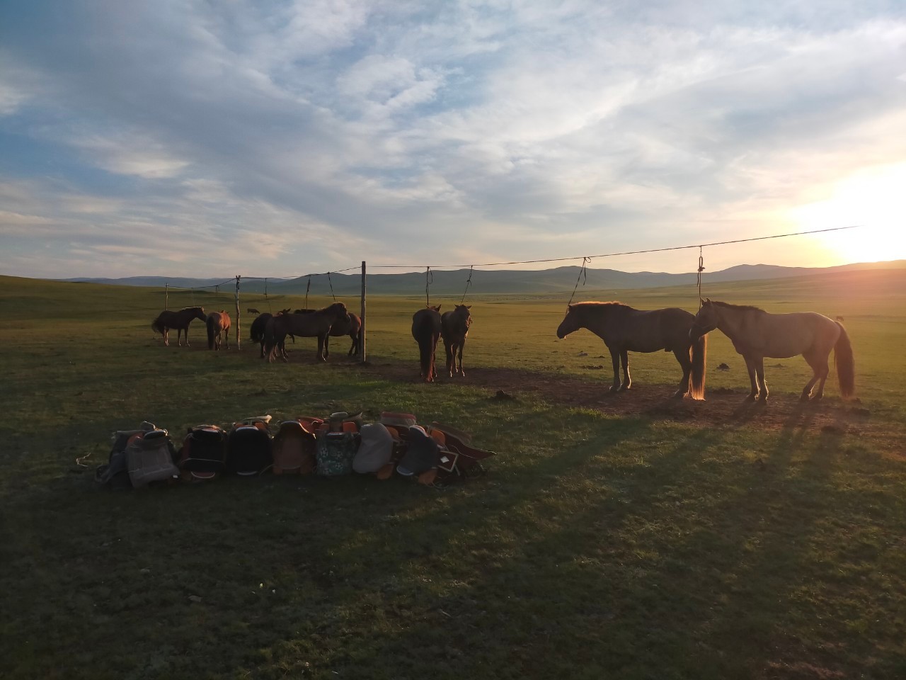 2024_08_18_08_29_IMG_7480