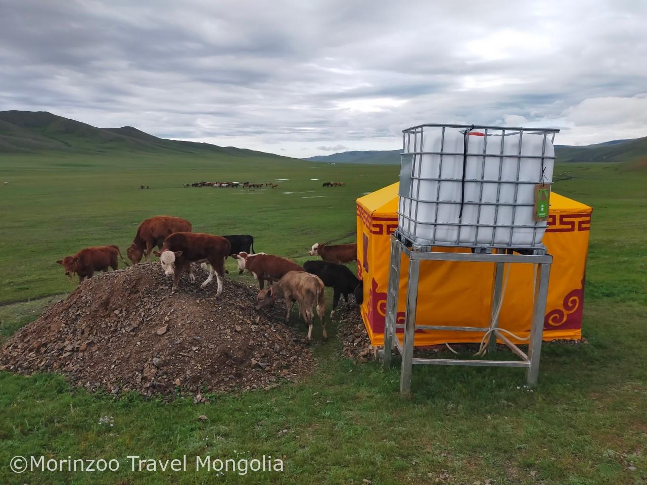 2024_08_18_08_30_IMG_7568